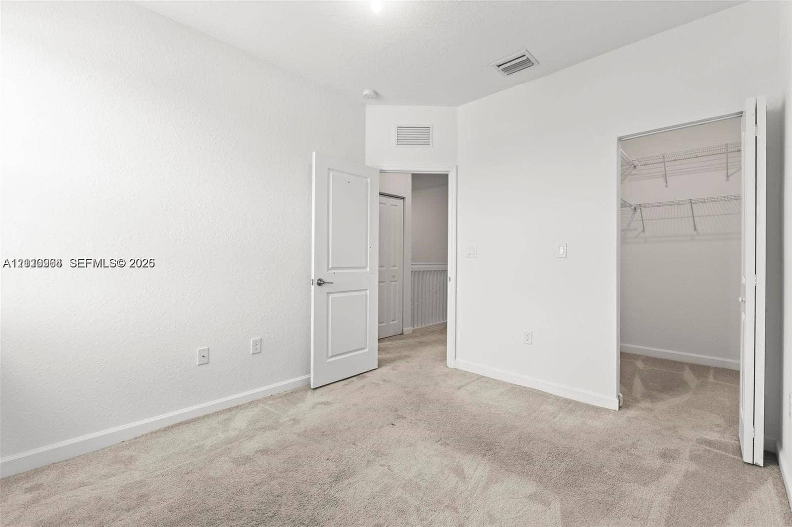 Neutral interior featuring wall-to-wall carpeting, paneled interior doors, and a walk-in closet with integrated wire shelving