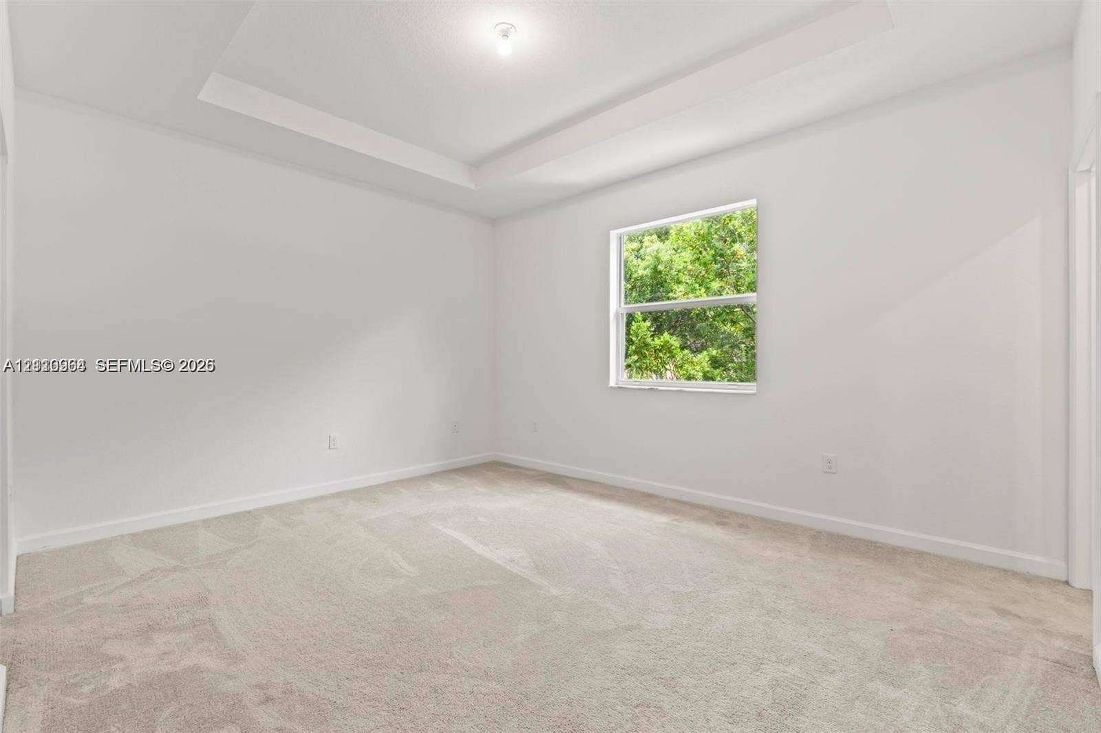 Interior space featuring a recessed tray ceiling, wall-to-wall carpeting, and a single-hung window