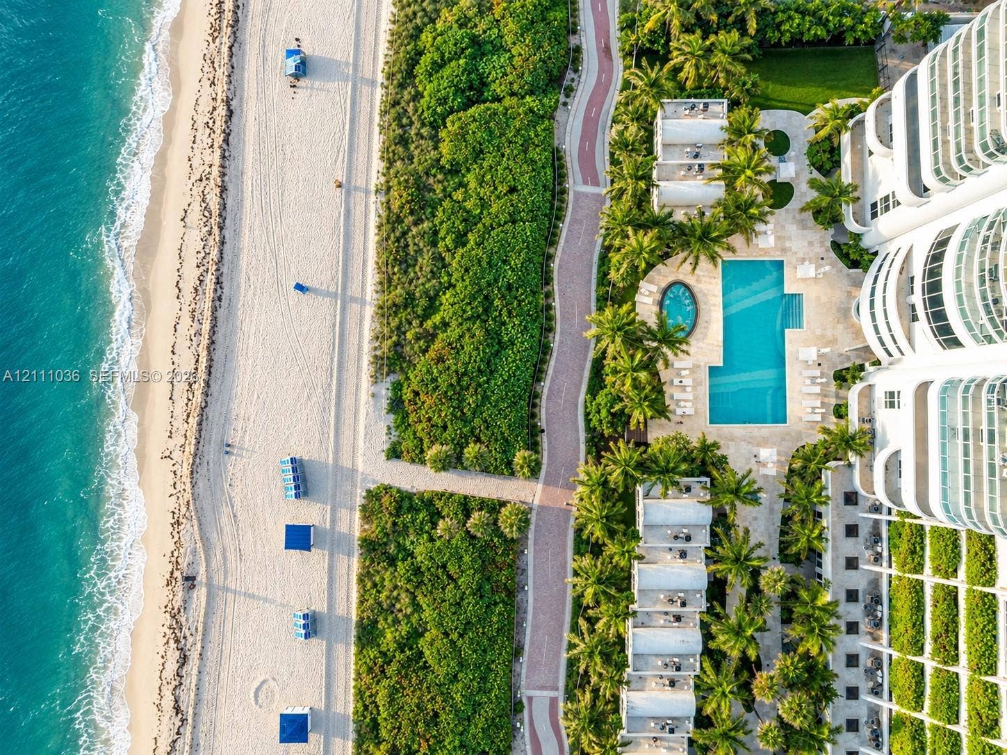 6365 Collins Avenue, #3811, Miami Beach, FL 33141 Oceanfront property featuring direct beach access, a rectangular swimming pool, a separate circular spa, paved pedestrian pathways, and lush tropical landscaping