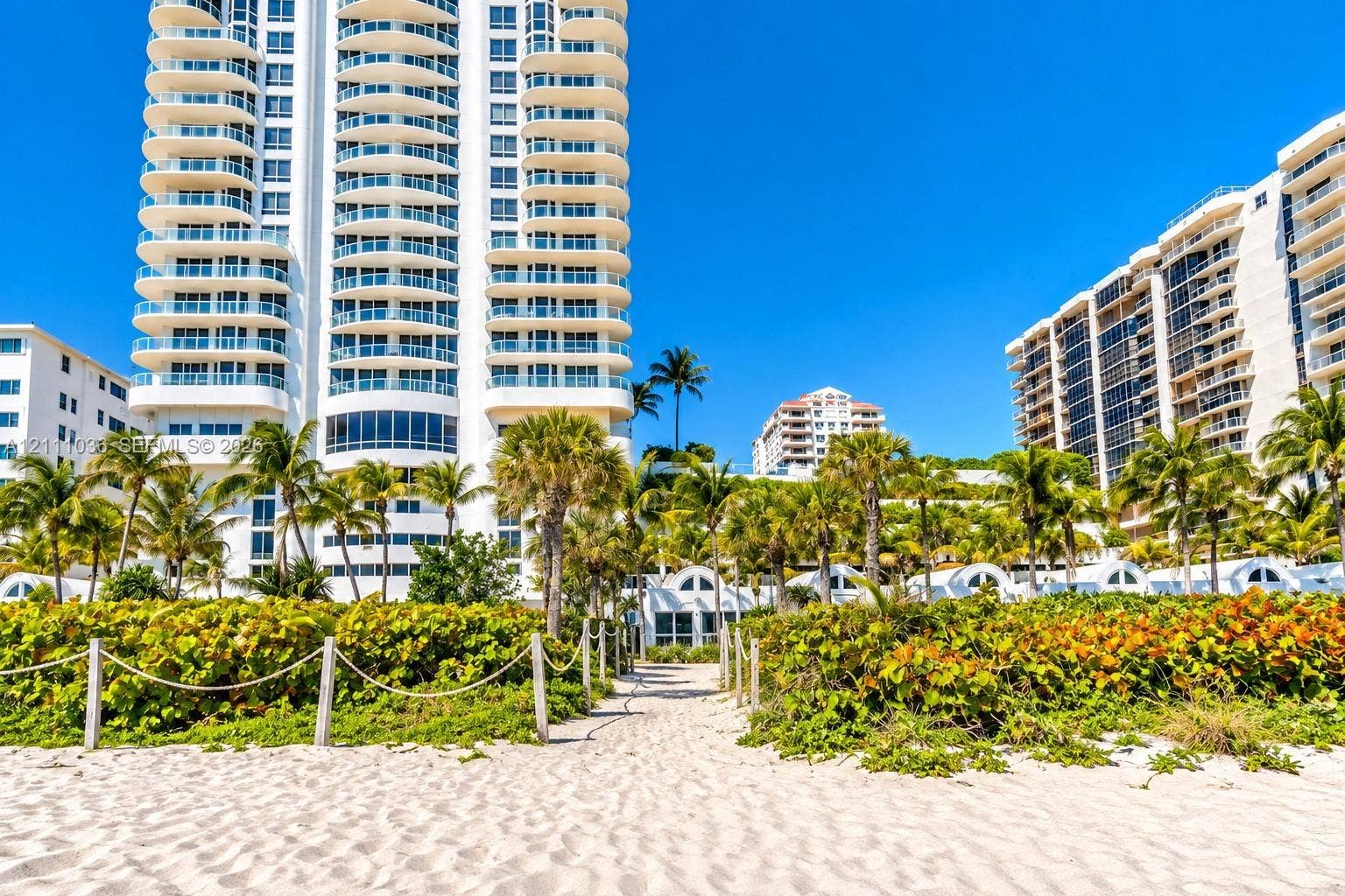 6365 Collins Avenue, #3811, Miami Beach, FL 33141 High-rise building featuring curved balconies, white exterior finish, direct sand access, mature palm trees, and rope-lined pedestrian path