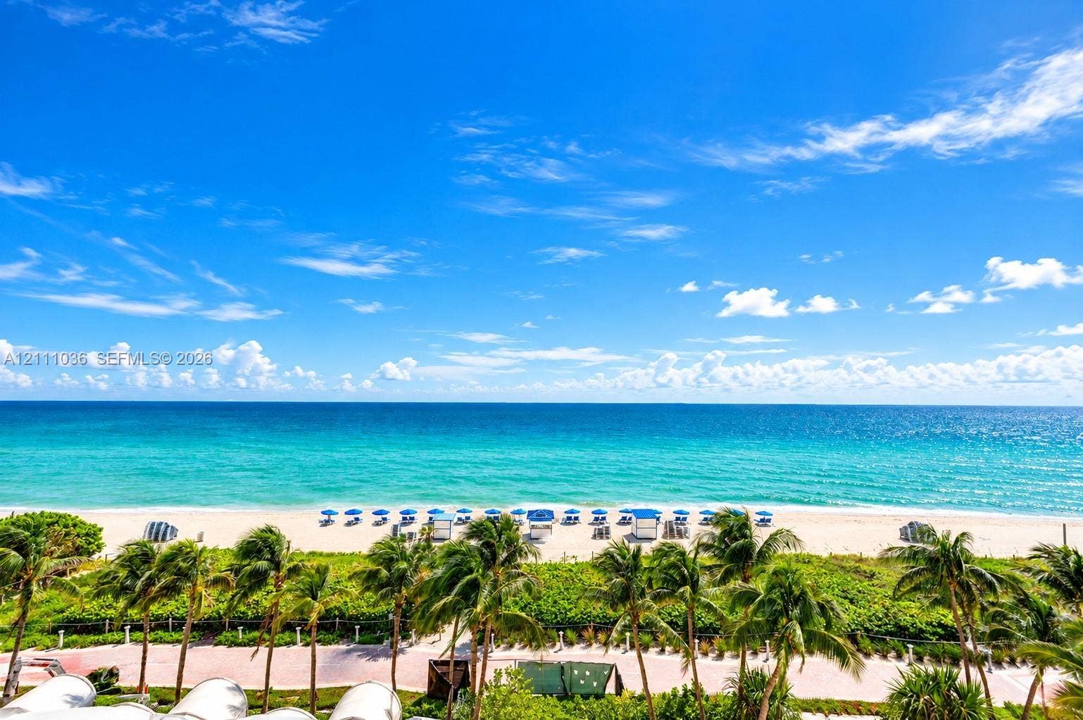 6365 Collins Avenue, #3811, Miami Beach, FL 33141 Oceanfront setting with a sandy beach, turquoise water, mature palm trees, and coastal horizon
