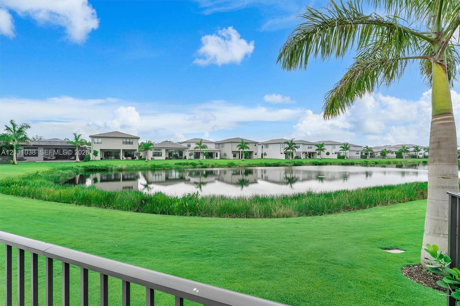 Waterfront parcel featuring a manicured lawn, naturalized shoreline vegetation, and mature palm trees