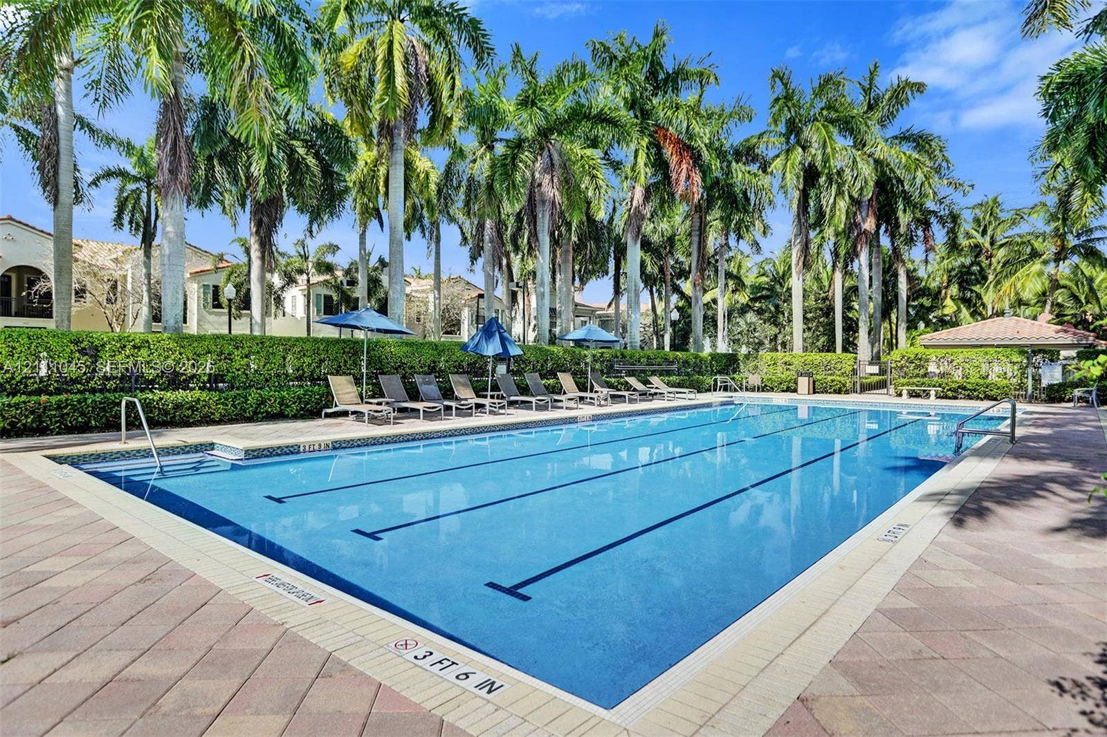 2901 NW 126th Avenue, #2-225, Sunrise, FL 33323 Rectangular swimming pool featuring tiled coping, metal pool ladders, a paver deck, and surrounding palm trees with manicured hedges