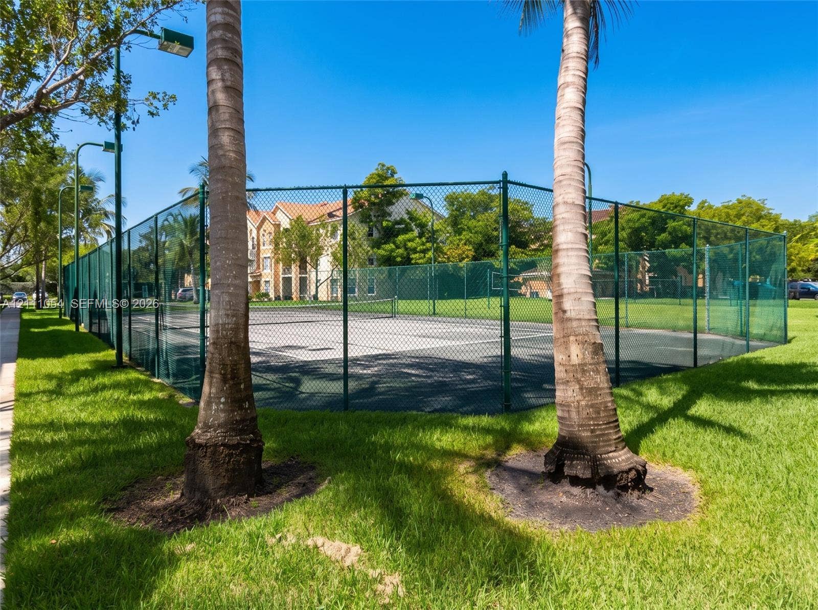 4180 San Marino Boulevard, #106, West Palm Beach, FL 33409 Fenced tennis court featuring a hard surface, surrounding chain-link enclosure, and mature palm trees