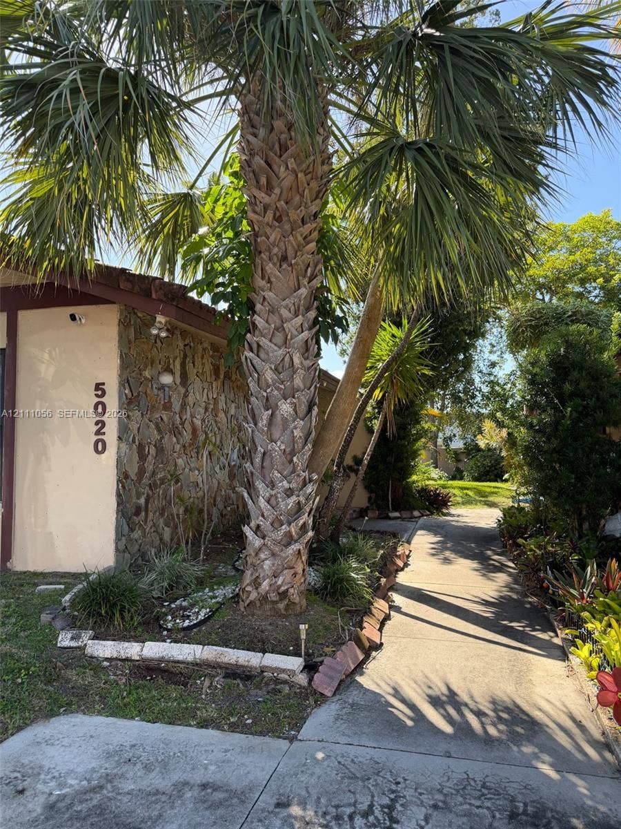 5020 Sheridan Street, #2, Hollywood, FL 33021 Exterior facade featuring stone veneer cladding, concrete walkway, and mature palm tree landscaping