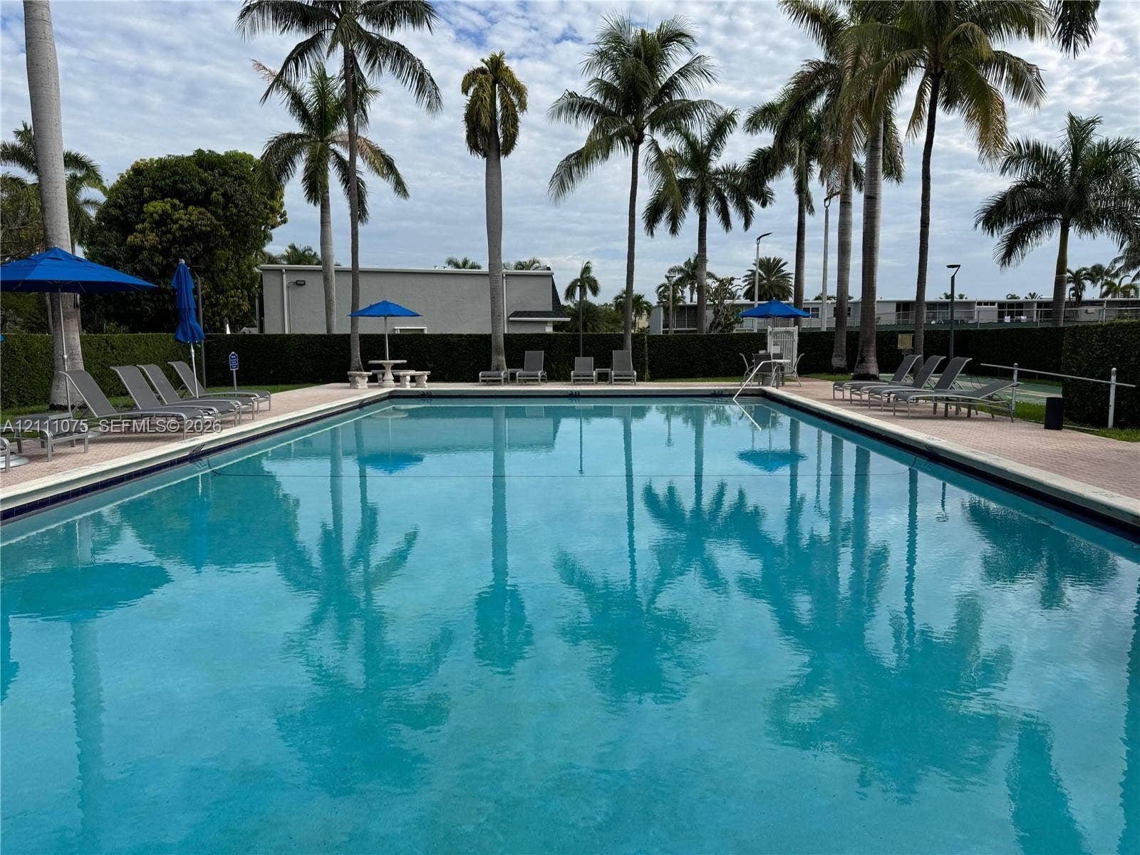 2318 NE 7th Street, #34, Hallandale Beach, Hallandale Beach, FL 33009 Rectangular swimming pool featuring a concrete deck and perimeter privacy hedge