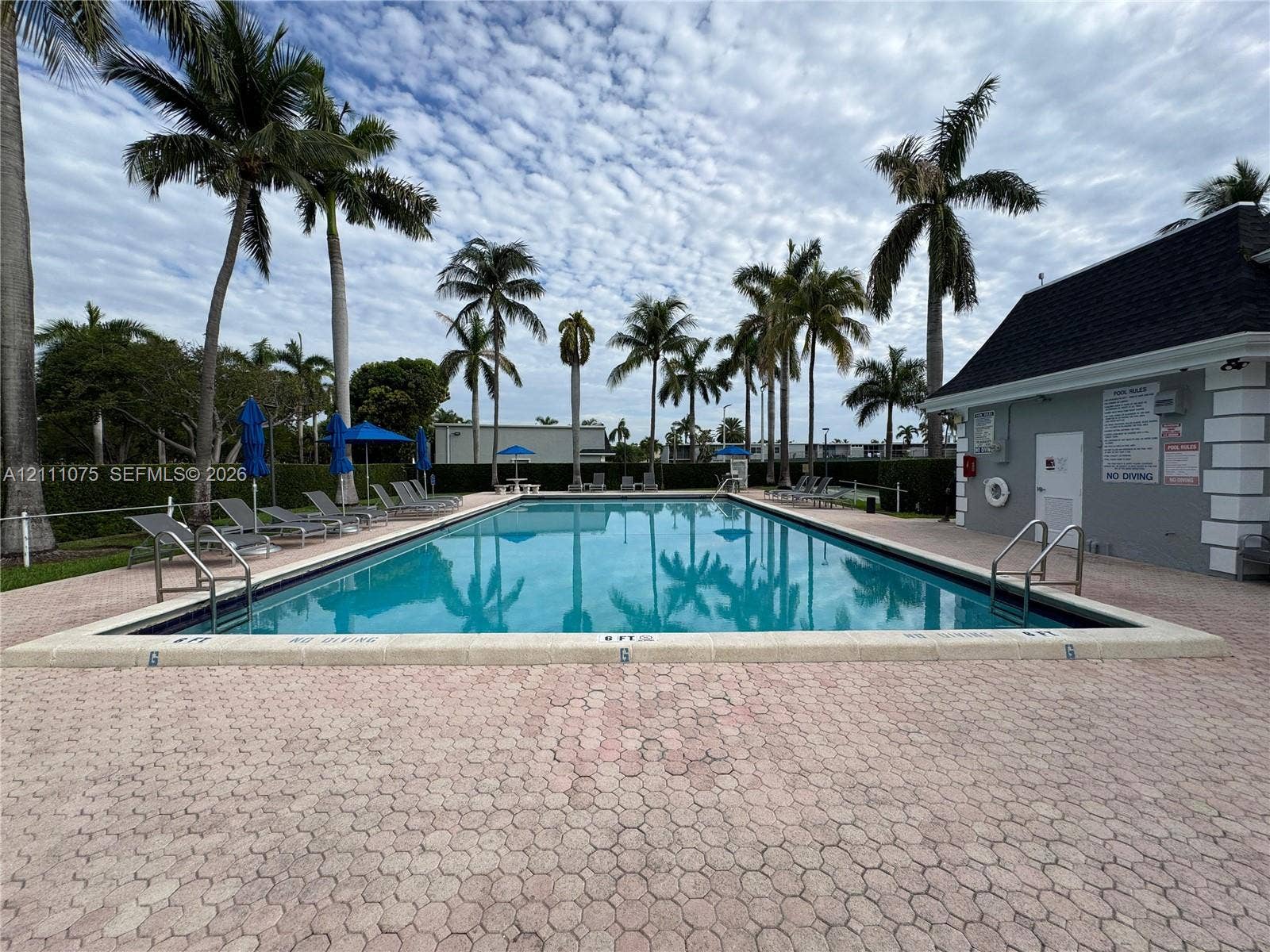 2318 NE 7th Street, #34, Hallandale Beach, Hallandale Beach, FL 33009 Rectangular swimming pool featuring a concrete deck, built-in metal ladders, perimeter landscaping, and tall palm trees
