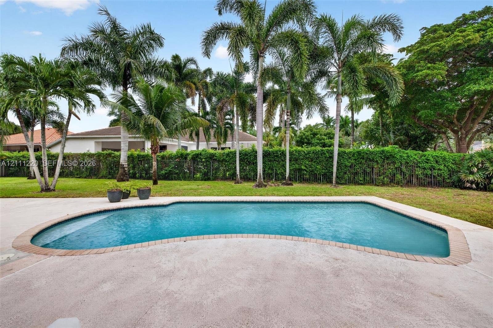 134 Dockside Terrace, Weston, FL 33327 Outdoor pool featuring a masonry border, concrete patio, mature palm trees, and perimeter hedging