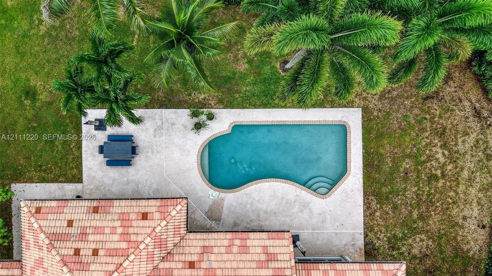 134 Dockside Terrace, Weston, FL 33327 Aerial view of a sprawling property featuring an expansive concrete pool deck, in-ground swimming pool with integrated steps, terra-cotta tile roofing, and mature palm trees