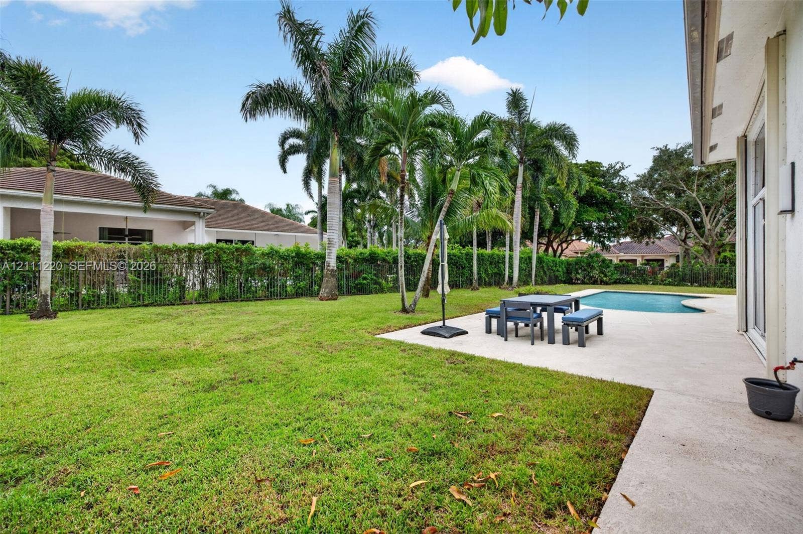 134 Dockside Terrace, Weston, FL 33327 Backyard featuring a concrete patio, swimming pool, mature palm trees, and perimeter privacy hedges