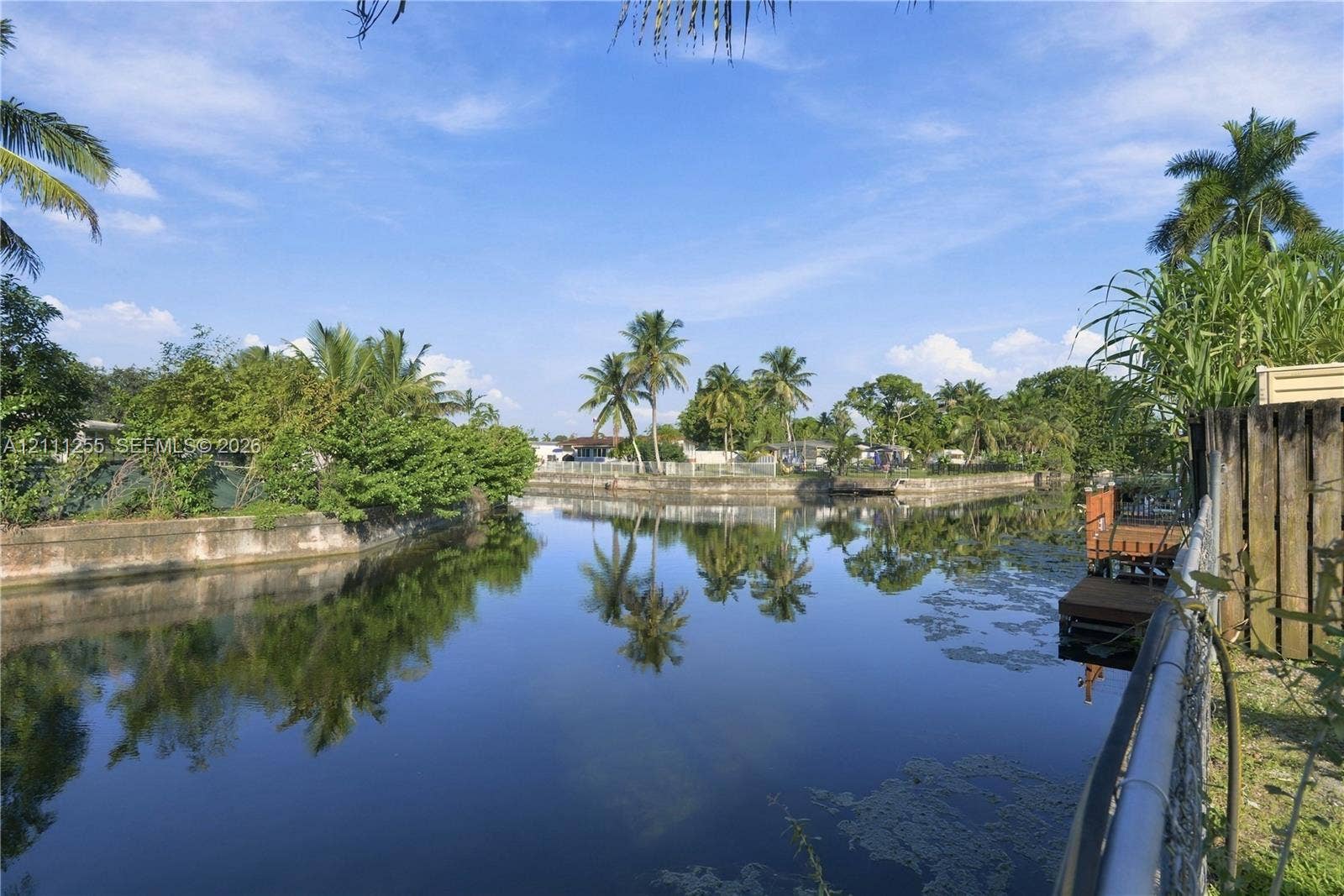 Waterfront property featuring a canal, private dock, retaining wall, and mature palms