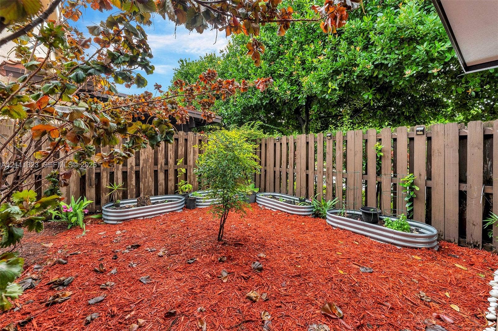 Private backyard featuring a tall wood privacy fence, organic mulch ground cover, and multiple galvanized steel raised garden beds