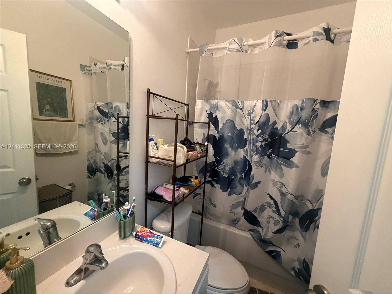 18172 SW 108th Path, Miami, Miami, FL 33157 Bathroom featuring a vanity with a recessed oval basin, chrome-finish faucet, and a wall-mounted rectangular mirror over a bathtub and shower combination