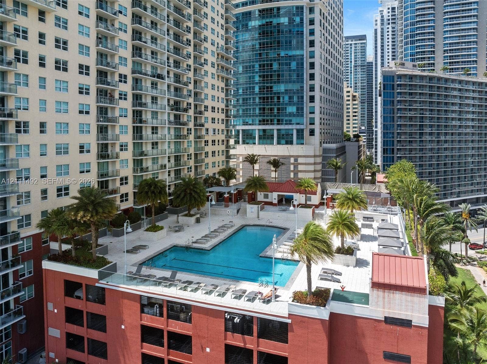 Rooftop swimming pool with surrounding stone-tile deck, integrated palm tree landscaping, and glass panel perimeter fencing