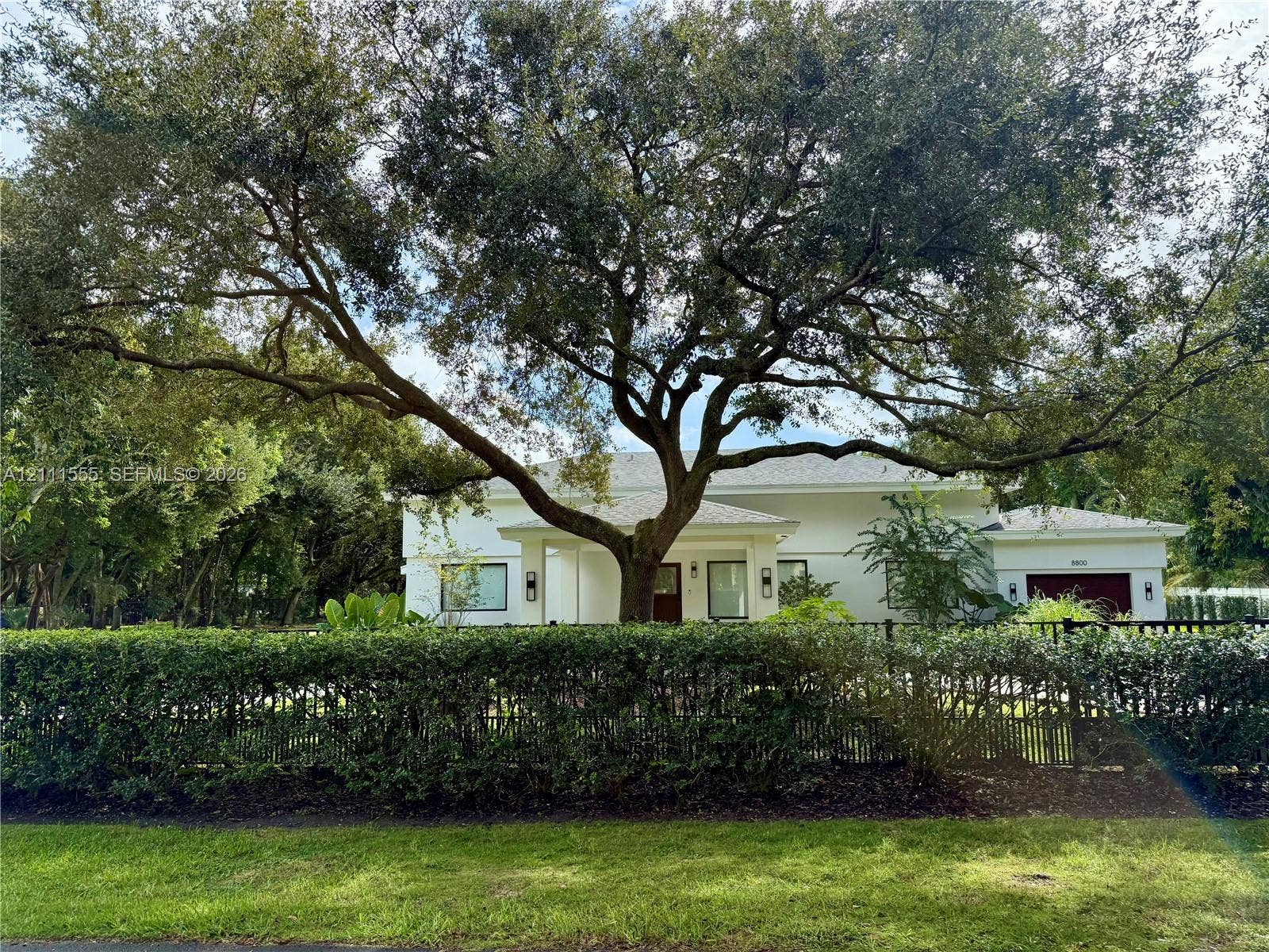8800 SW 118th Street, Miami, Miami, FL 33176 Single-story exterior featuring a light-toned stucco facade, a dark-toned multi-car garage, an expansive mature tree, and perimeter metal fencing