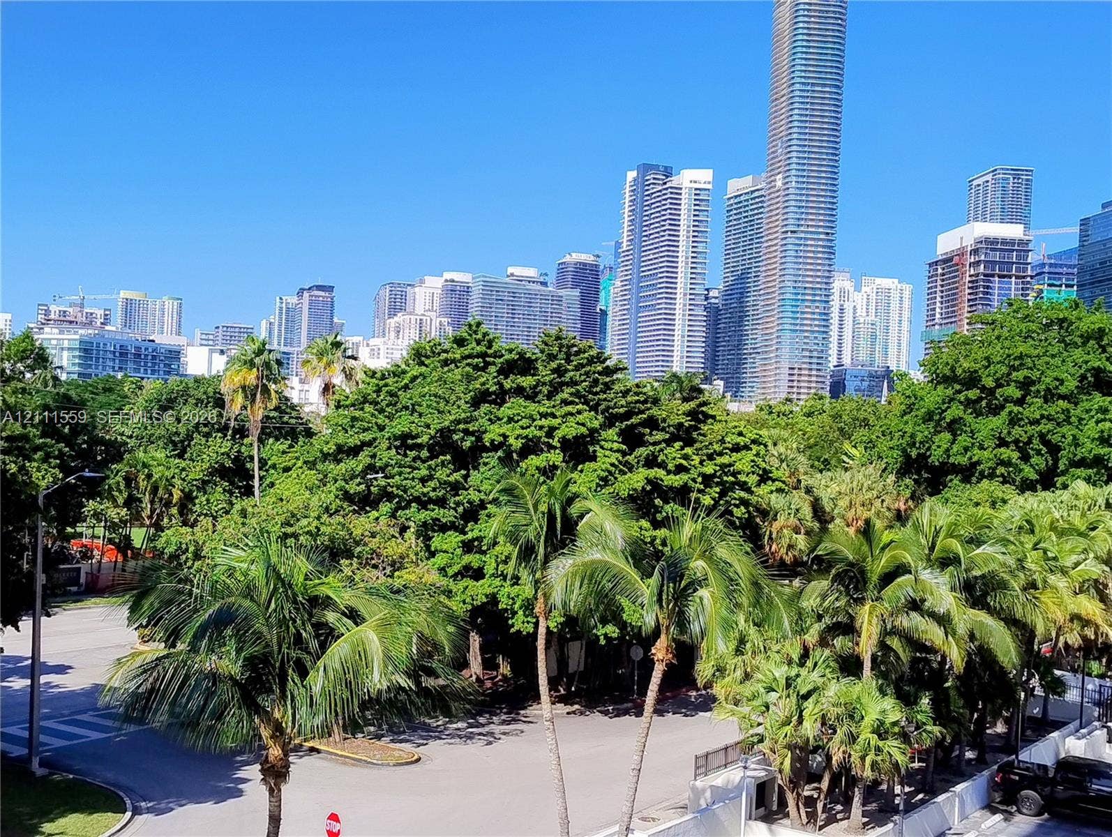 1915 Brickell Avenue, #C501, Miami, FL 33129 Urban skyline backdrop featuring high-rise buildings and mature tropical landscaping including palm trees