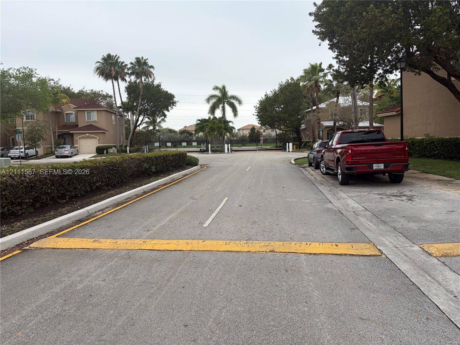 21514 SW 90th Avenue, Cutler Bay, FL 33189 Paved asphalt street featuring curbside parking, manicured hedge landscaping, and mature palm trees
