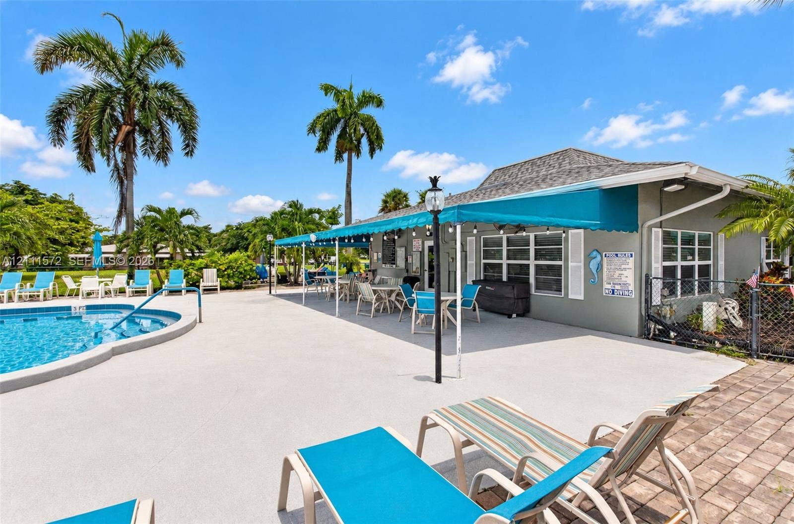 Swimming pool with concrete pool deck, covered patio space, and mature palm trees
