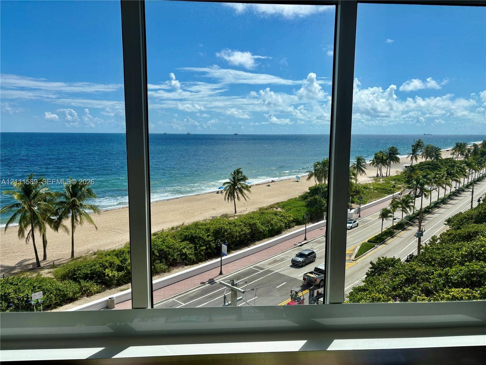 Floor-to-ceiling windows featuring panoramic coastal scenery, oceanfront expanse, and palm-lined sandy beach