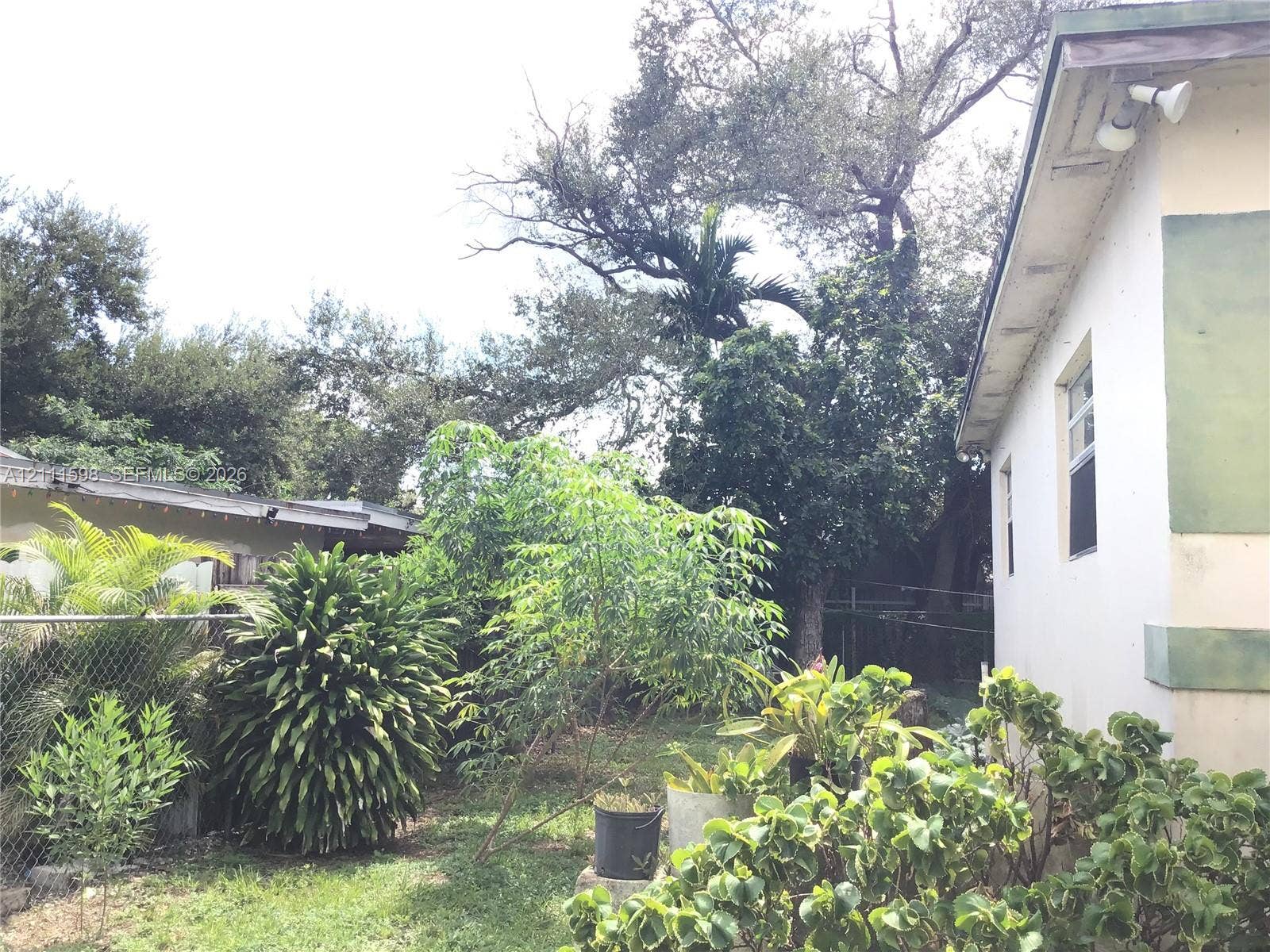 Exterior featuring a light-colored smooth stucco finish, mature trees, expansive shrubbery, and chain-link fencing