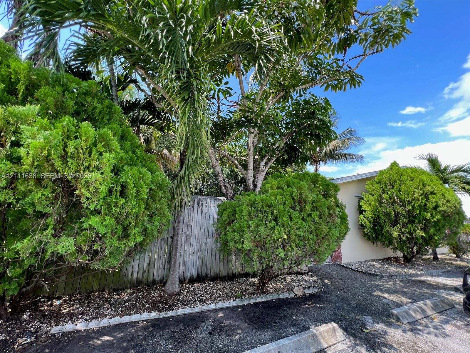 4841 SW 45th Avenue, #2, Hollywood, Hollywood, FL 33314 Exterior grounds featuring mature palm and evergreen trees, wood-slat fencing, and decorative stone landscaping