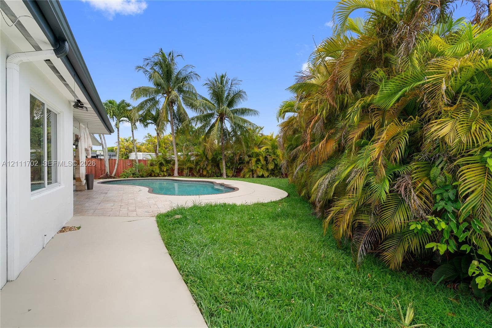 Backyard featuring a freeform swimming pool, concrete patio, lush lawn, and mature palm trees