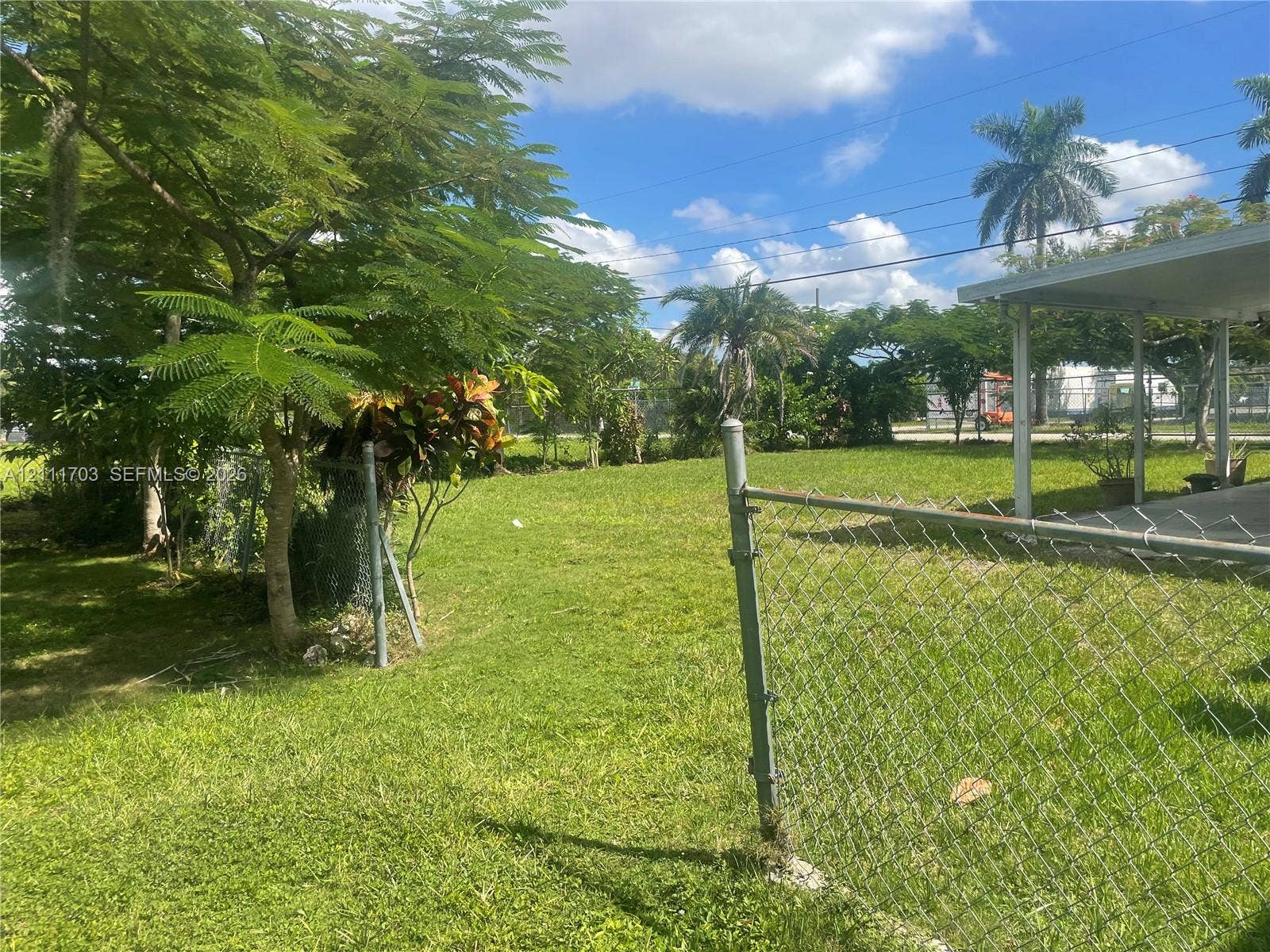 21840 SW 118th Avenue, Miami, FL 33170 Grassy backyard featuring a chain-link fence, mature trees, and a covered concrete patio