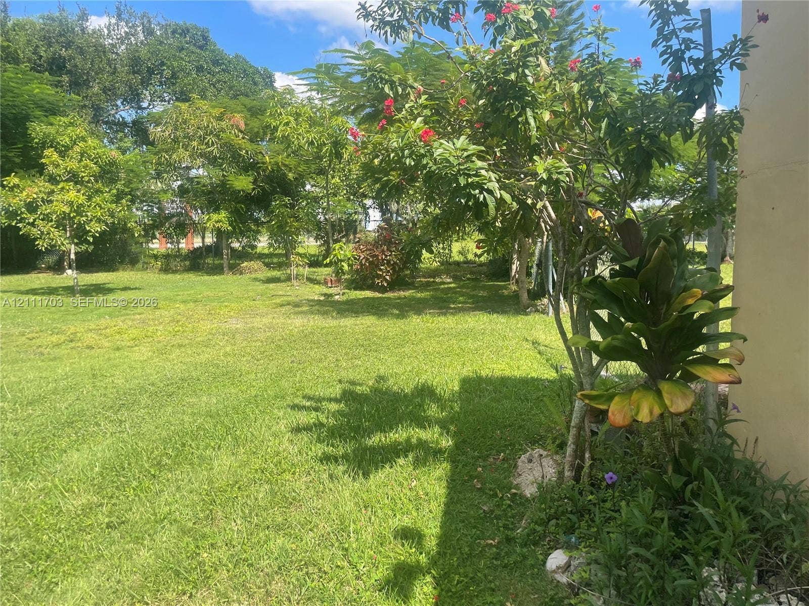 21840 SW 118th Avenue, Miami, FL 33170 Expansive backyard featuring a manicured lawn, established landscaping, and mature trees