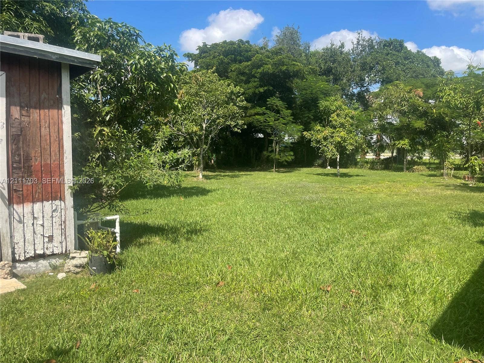 21840 SW 118th Avenue, Miami, FL 33170 Expansive backyard featuring a grass lawn and mature trees