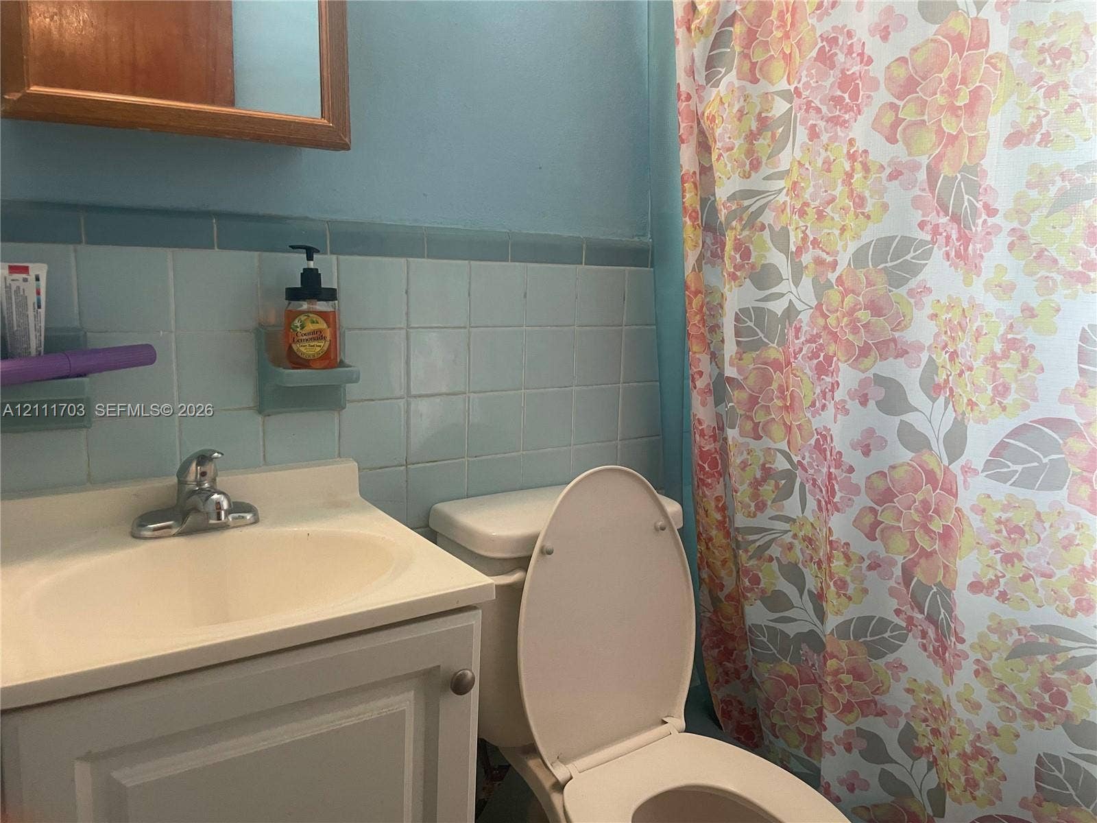 21840 SW 118th Avenue, Miami, FL 33170 Bathroom featuring a vanity with an integrated sink and chrome faucet, light blue ceramic wall tiling, and a built-in recessed soap dish