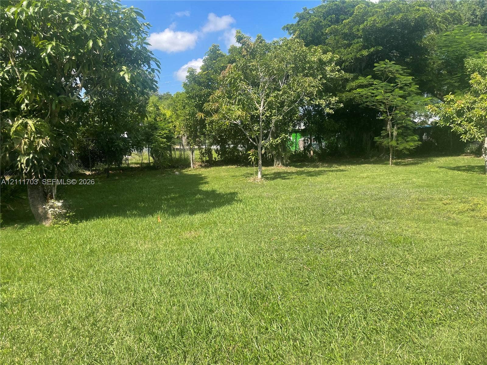 21840 SW 118th Avenue, Miami, FL 33170 Expansive grass lawn featuring mature trees and perimeter chain-link fencing