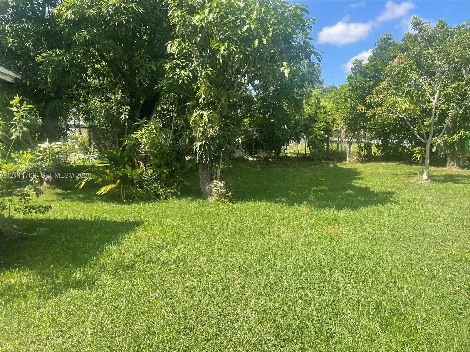 21840 SW 118th Avenue, Miami, FL 33170 Expansive backyard featuring mature trees, established greenery, and a grass lawn