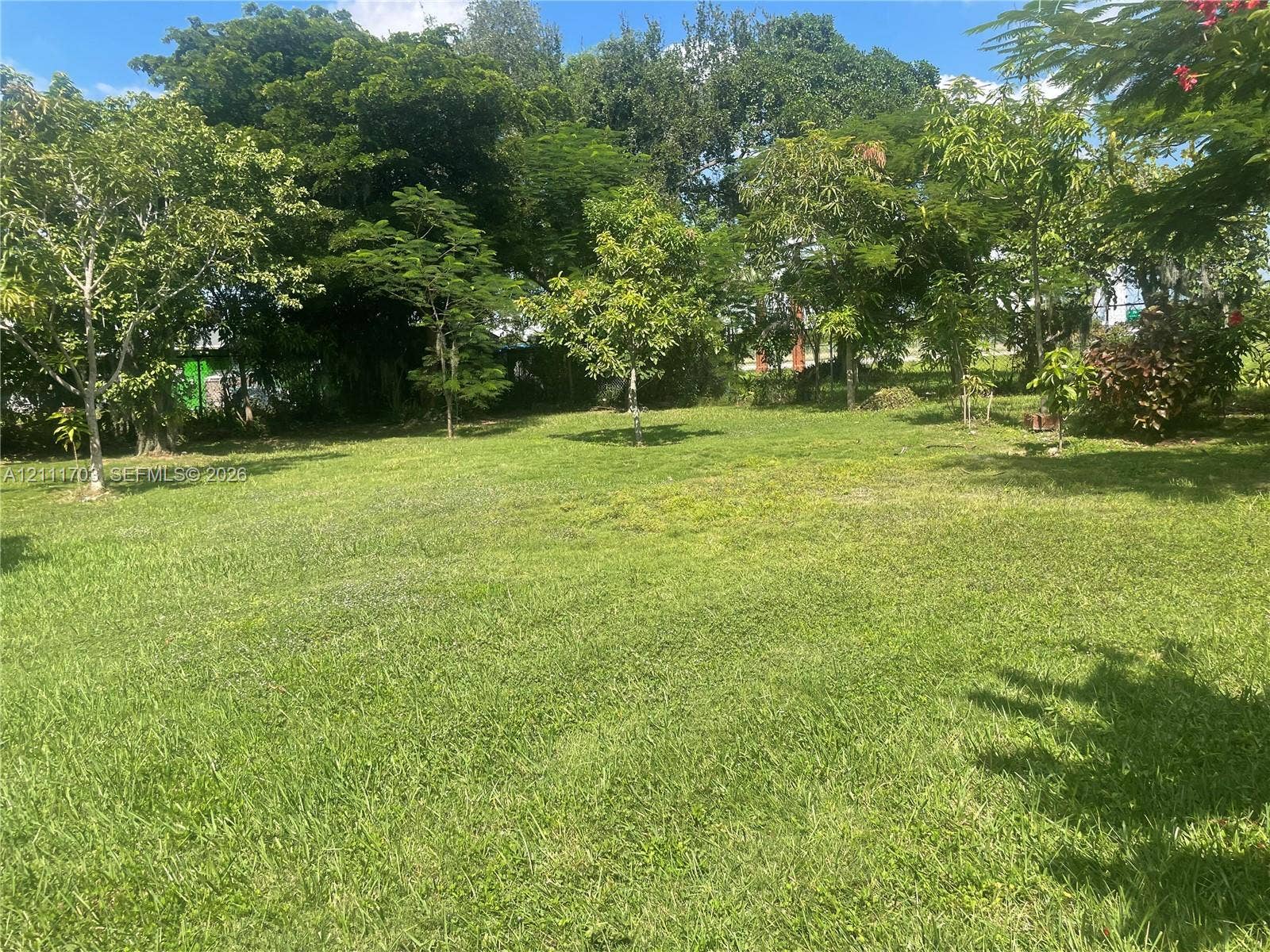 21840 SW 118th Avenue, Miami, FL 33170 Expansive backyard featuring a sprawling lawn and mature trees