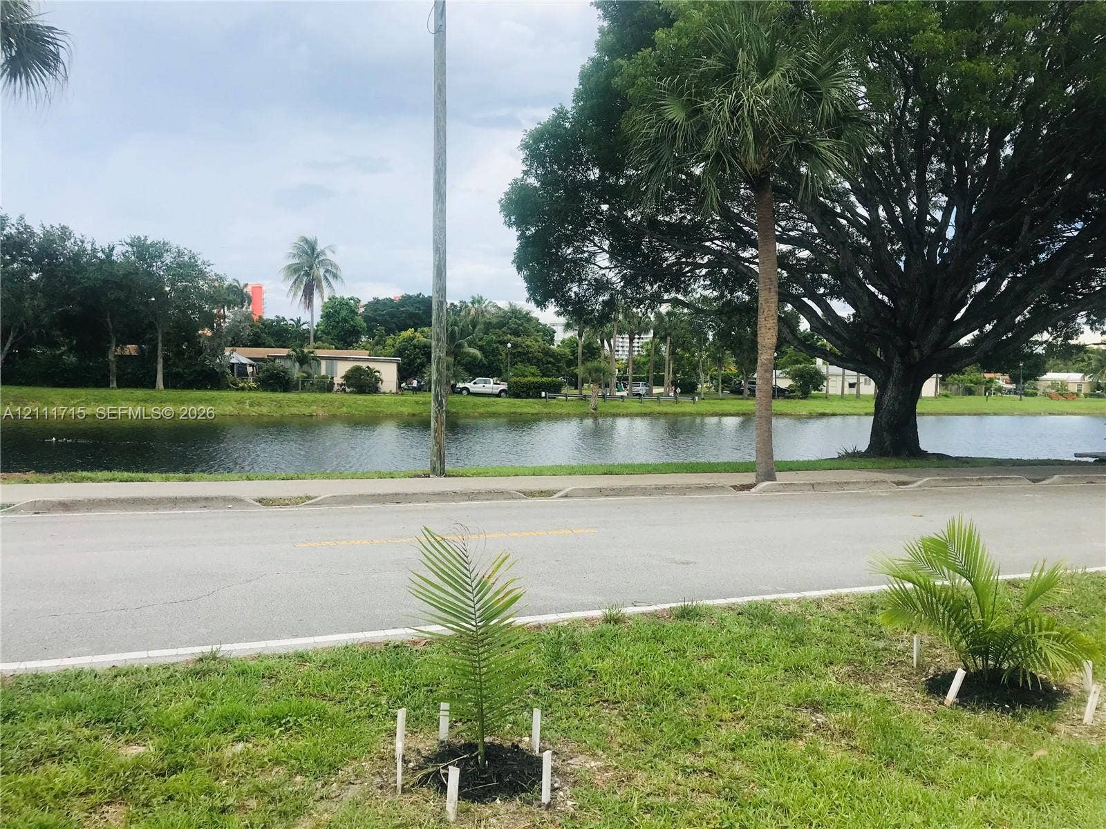 18280 NE Glades Drive, North Miami Beach, North Miami Beach, FL 33162 Waterfront lot featuring a landscaped grass area, mature trees, and palms