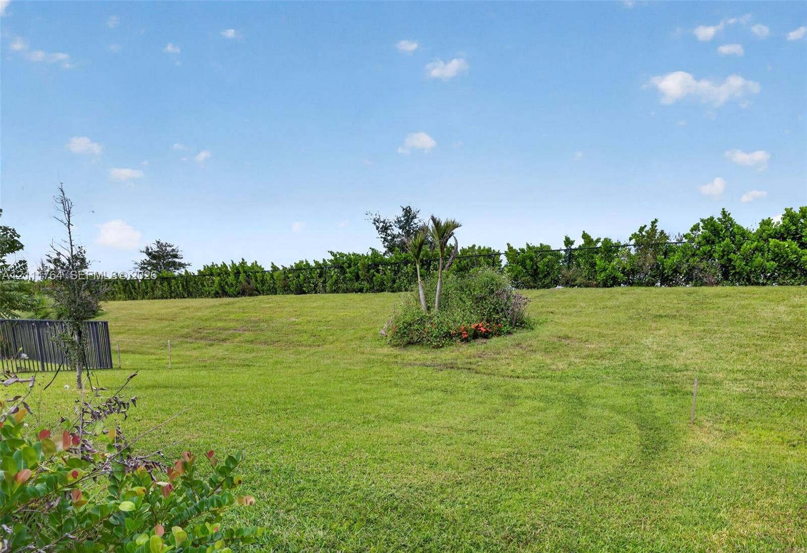 Expansive grass lawn featuring mature shrubbery and a perimeter hedge line