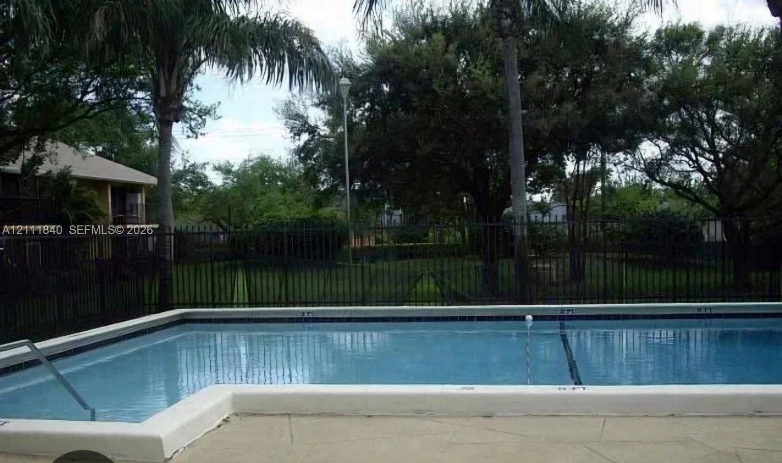 5901 Washington Street, #250, Hollywood, FL 33023 Swimming pool with a concrete pool deck, metal perimeter fencing, and mature trees