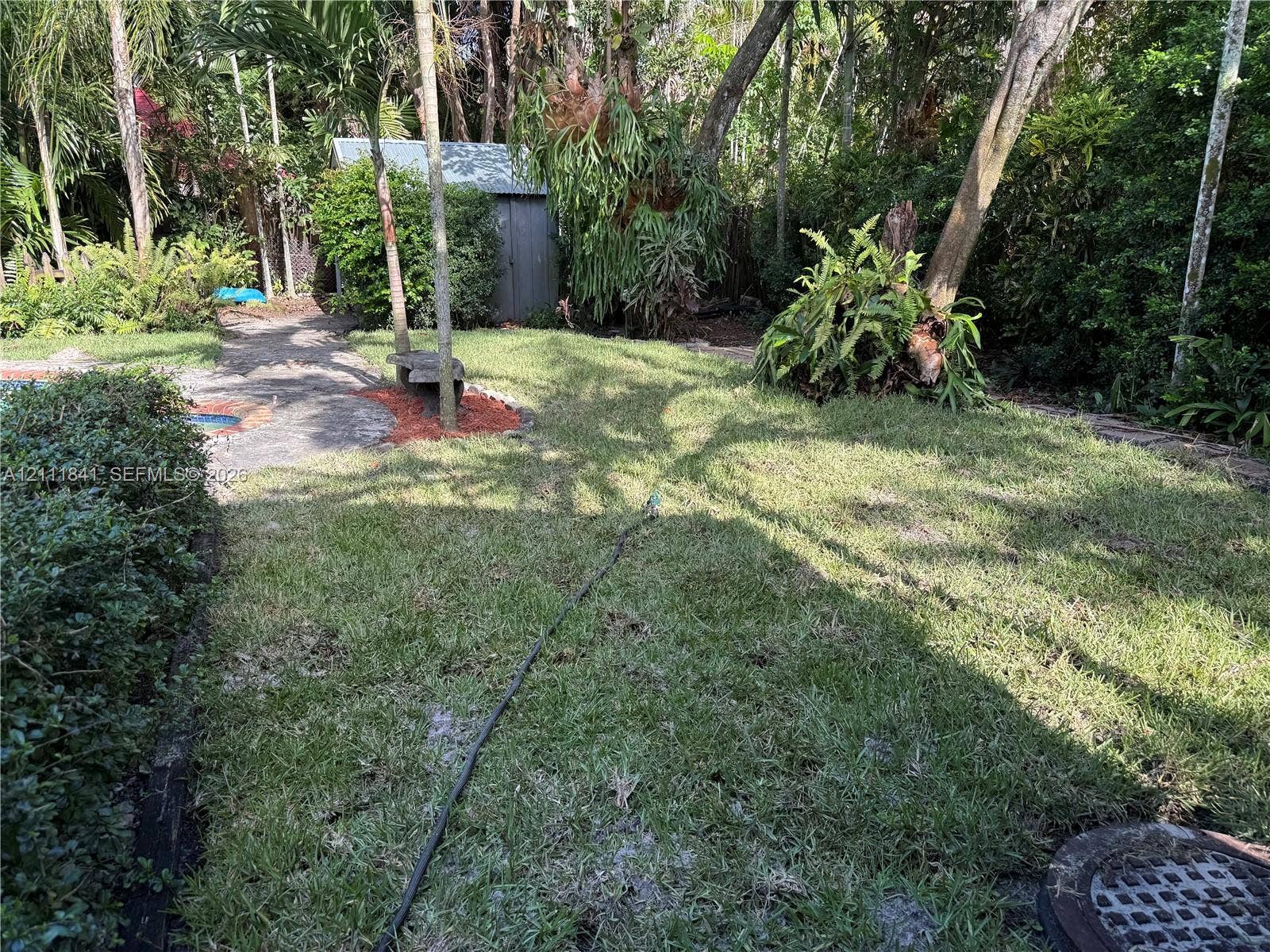12015 NE 6th Avenue, Biscayne Park, FL 33161 Backyard featuring a grass lawn, mature trees, dense perimeter vegetation, a stone pathway, and a detached storage structure