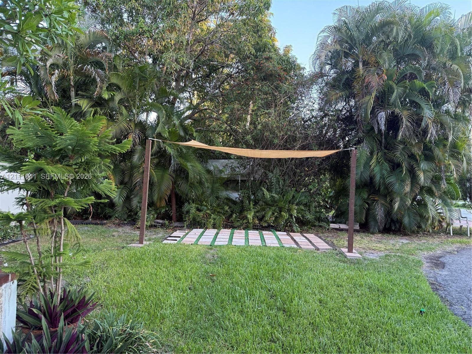 12015 NE 6th Avenue, Biscayne Park, FL 33161 Backyard featuring a paved patio area, a tension shade canopy, mature palm trees, and dense foliage