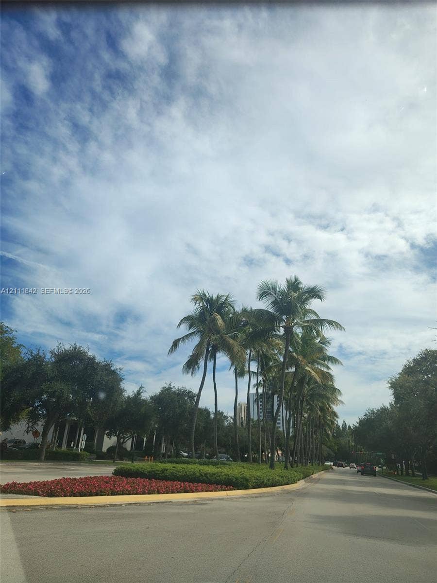20400 W Country Club Drive, #303, Aventura, Aventura, FL 33180 Mature palm trees, landscaped shrubbery, and red floral accents lining the paved roadway