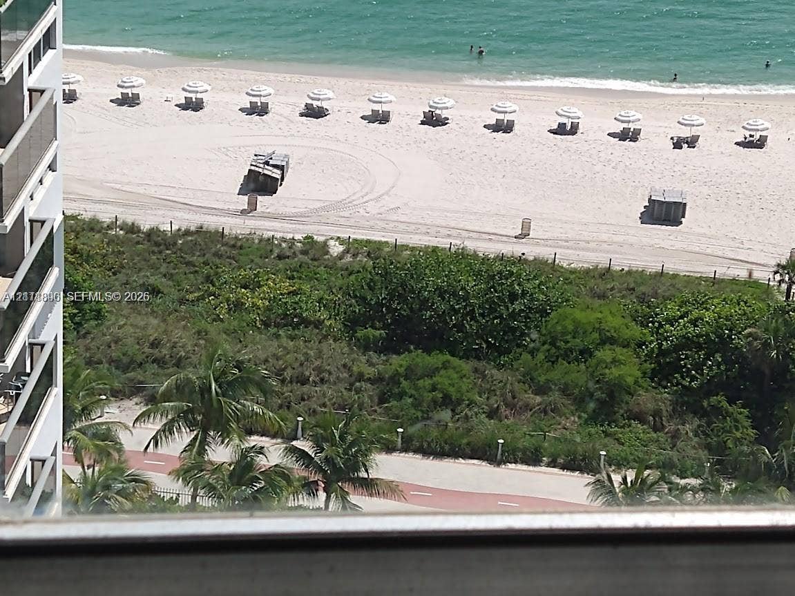 Elevated balcony featuring tiered glass railings, direct ocean exposure, and a paved pedestrian pathway with mature palm trees