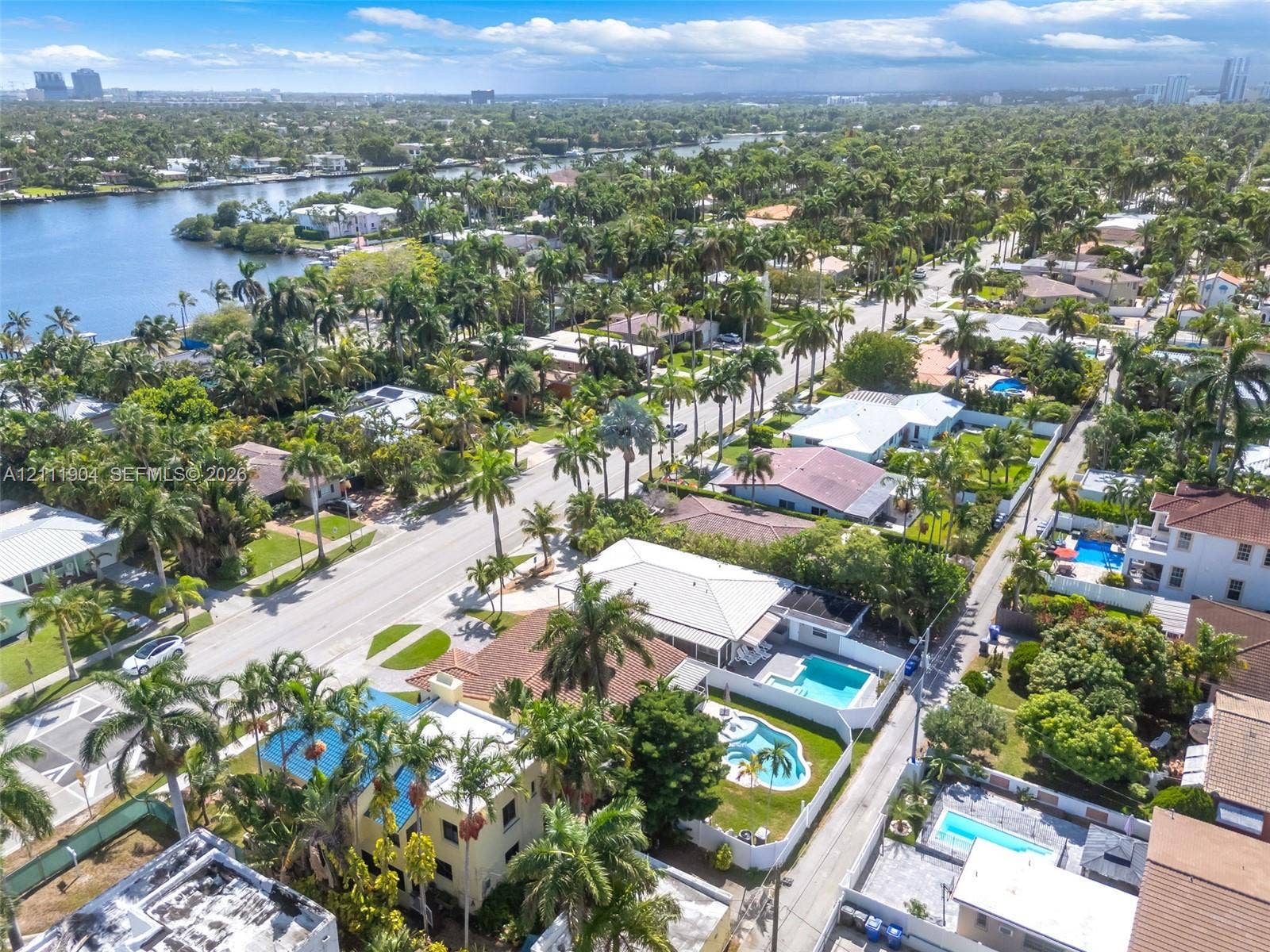 821 Harrison Street, Hollywood, FL 33019 Aerial perspective of a coastal residential neighborhood featuring mature palm trees, dense canopy vegetation, and proximity to an inland waterway