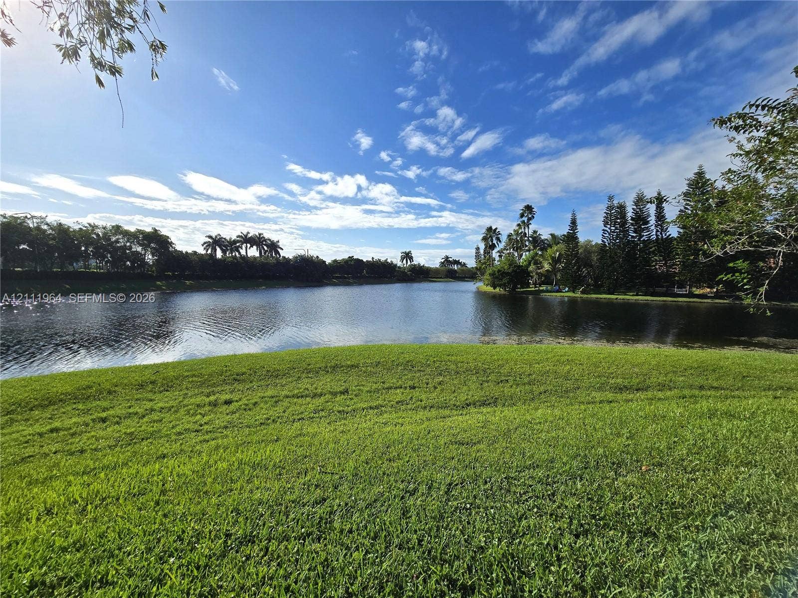 Waterfront grounds featuring a sprawling lawn, mature trees, and palm vegetation