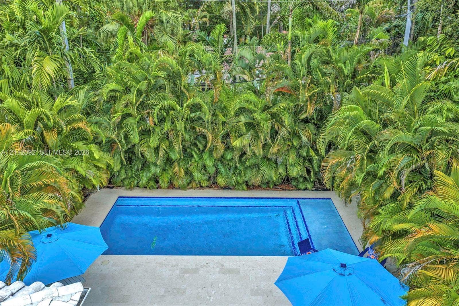 419 Sevilla Avenue, Coral Gables, FL 33134 Rectangular in-ground swimming pool with integrated tiered entry steps and stone paver decking, surrounded by mature palm trees