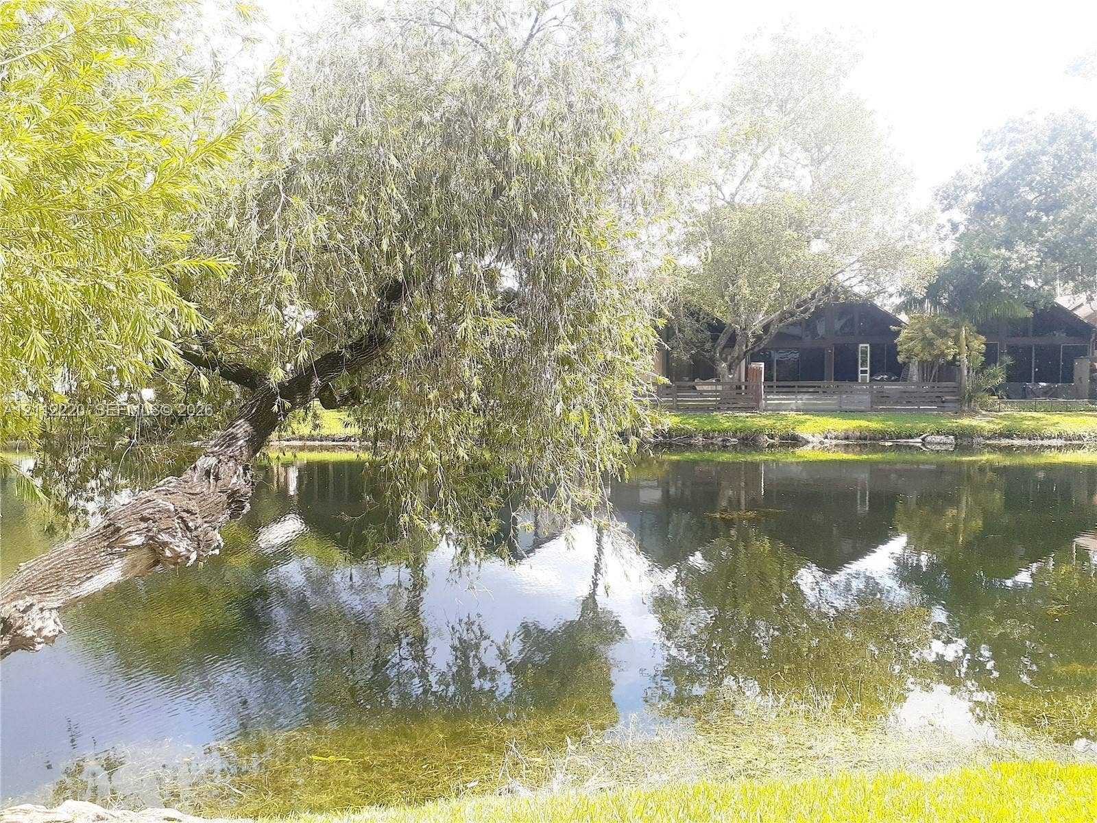 508 W Westree Lane, #508, Plantation, Plantation, FL 33324 Waterfront lot featuring a natural pond, mature weeping willow tree, and manicured lawn