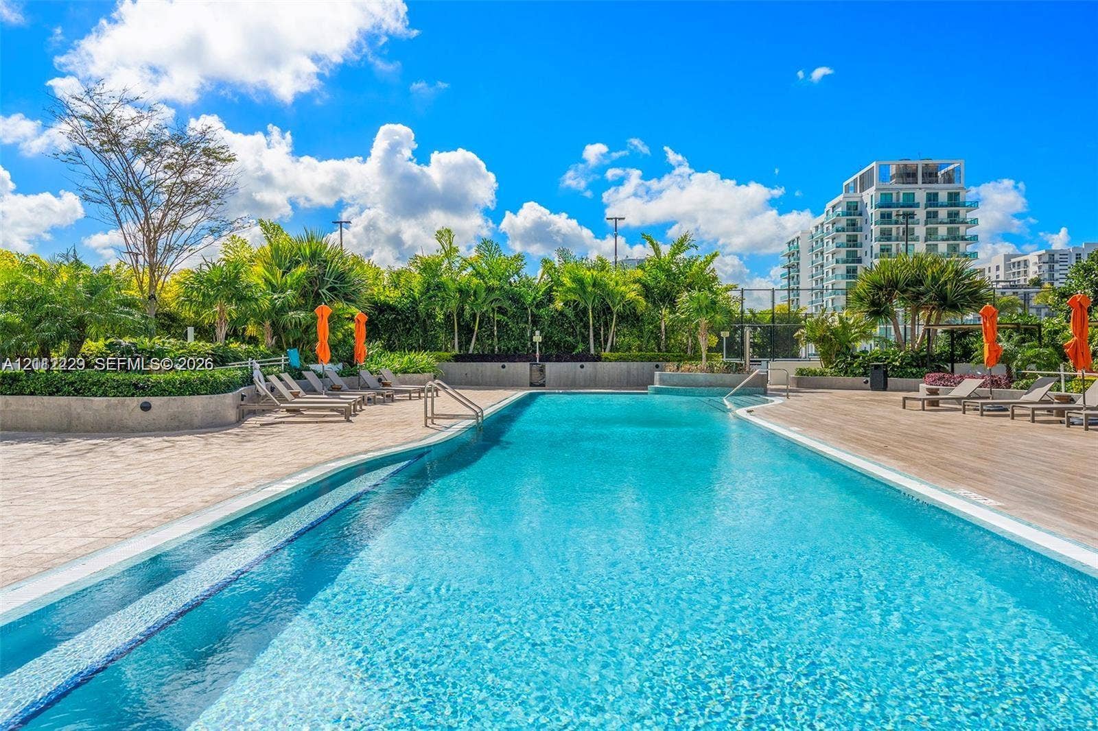 725 NE 24th Street, #706, Miami, Miami, FL 33137 Swimming pool with integrated steps, tile decking, stone retaining walls, and surrounding mature palm trees