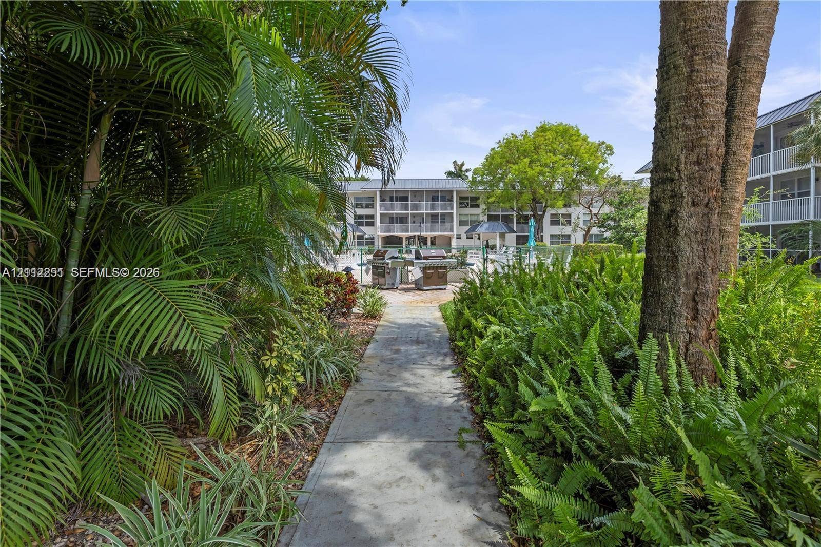 4025 N Federal Highway, #226C, Oakland Park, FL 33308 Concrete pathway surrounded by mature palm trees and lush tropical landscaping, featuring a built-in outdoor grilling station