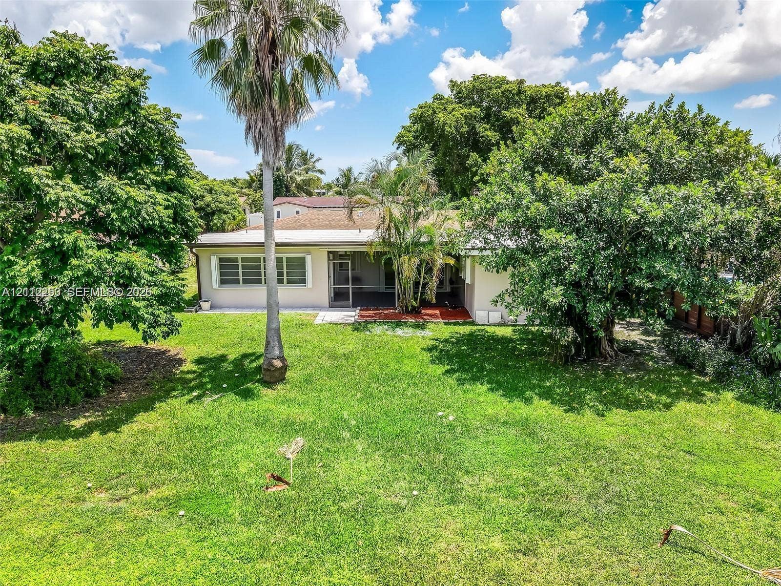 500 NW 96th Terrace, Pembroke Pines, FL 33024 Expansive backyard featuring a lawn, mature trees, a palm tree, and a covered patio