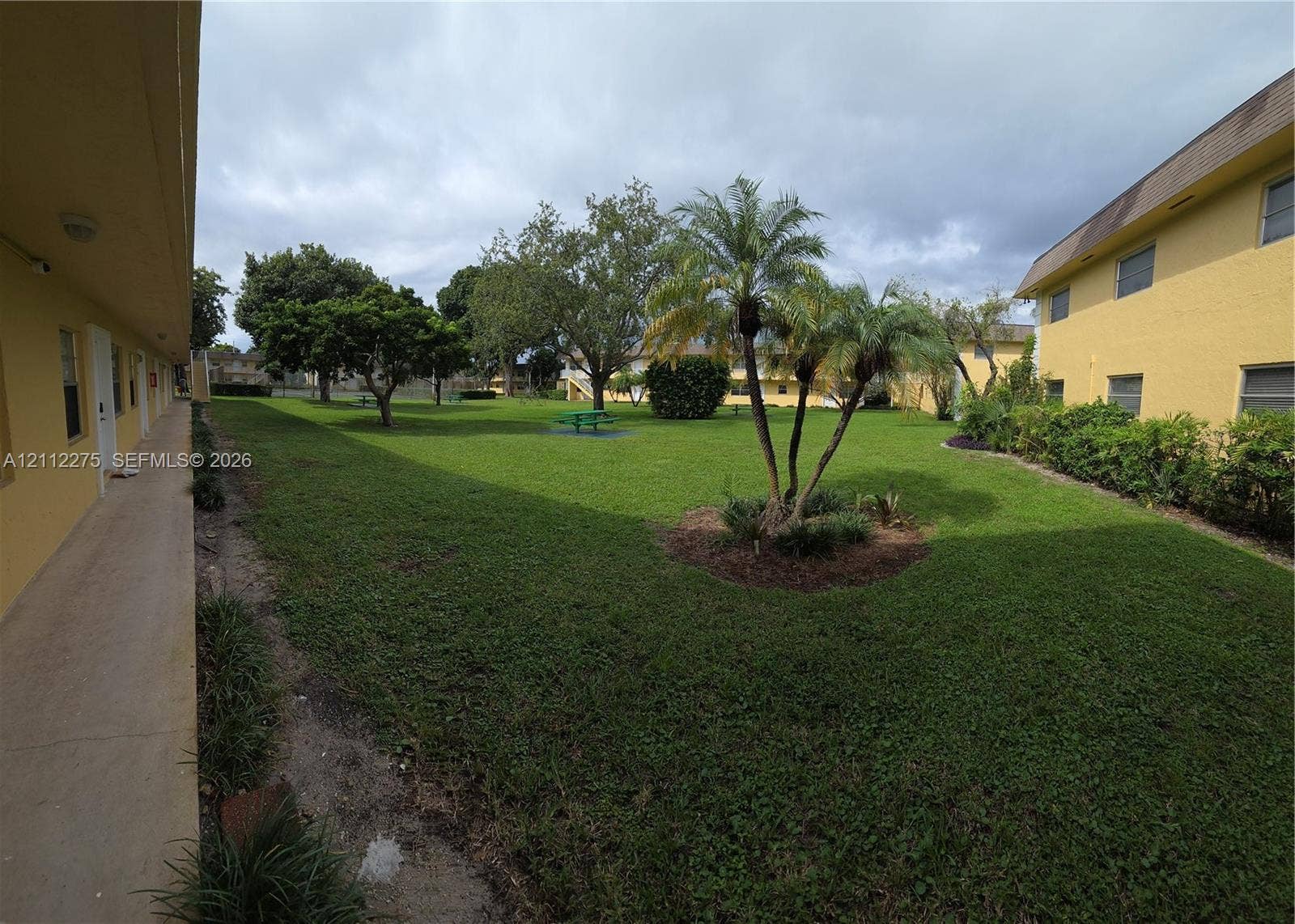 Expansive common area featuring a manicured lawn, mature trees, ornamental palms, and concrete walkways