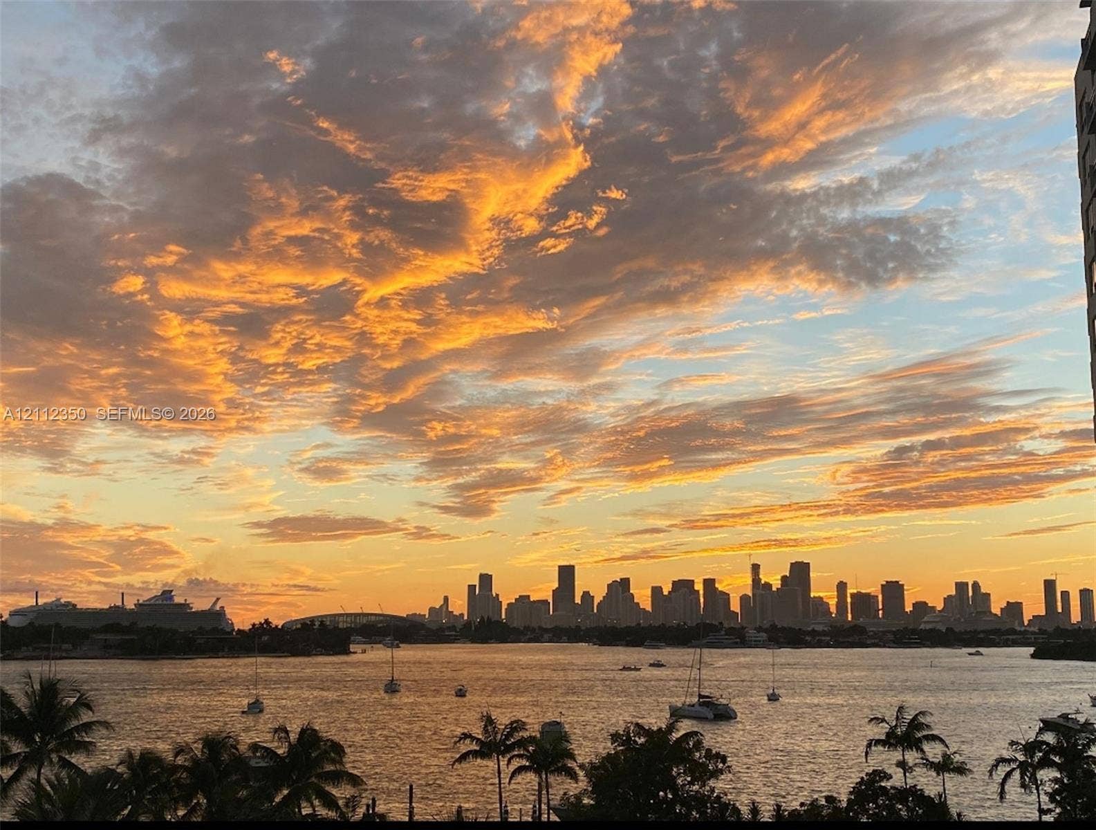Panoramic cityscape featuring a skyline backdrop, harbor waters, and silhouettes of mature palm trees