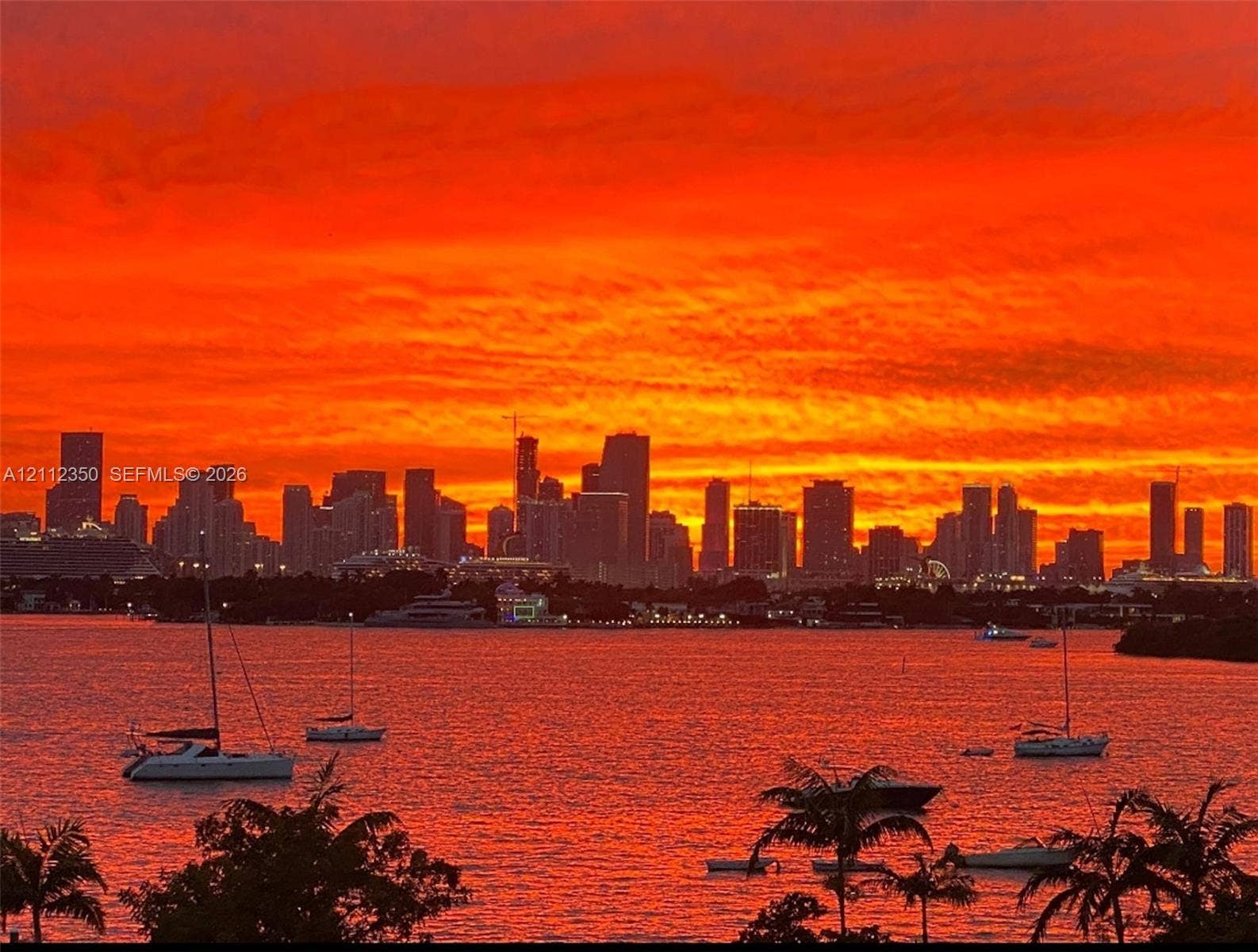 Panoramic skyline and waterfront perspective featuring deep-toned sunset sky, marine activity, and tropical foliage